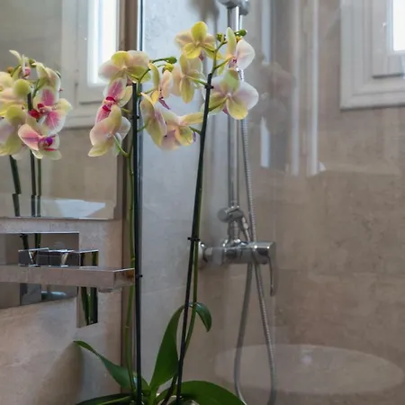 Porto Vecchio Luxury Spétses